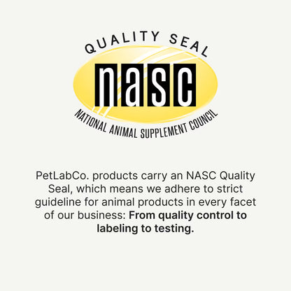 Meet the first clinically studied probiotic soft chew for dogs¹