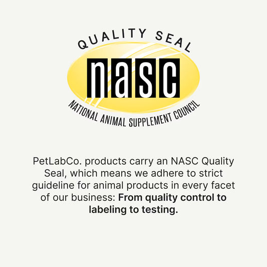 Meet the first clinically studied probiotic soft chew for dogs¹