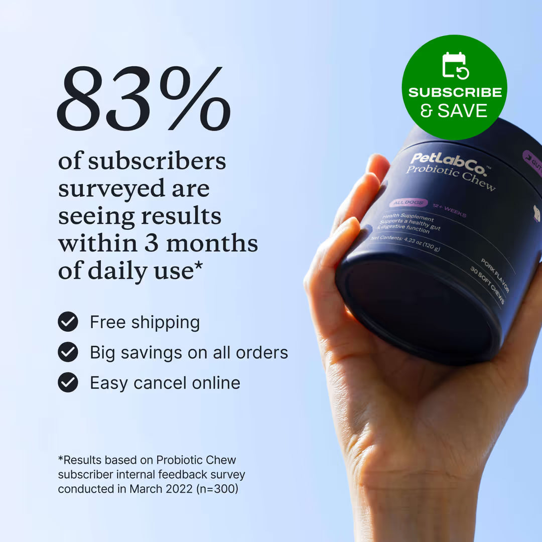 Meet the first clinically studied probiotic soft chew for dogs¹