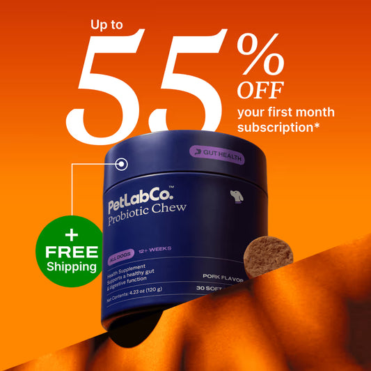 Meet the first clinically studied probiotic soft chew for dogs¹